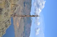 Rocky Mountains (30)