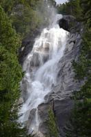 Shannon Falls (1)
