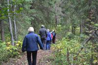 Wanderung am Green mt Tower (4)