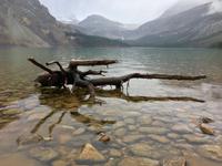 Bow Lake