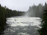 Dawson Faelle in Wells Grey Park