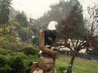 auf Vancouver Island Begruessung