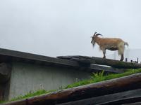 wo gehts hier weiter, bitte ?