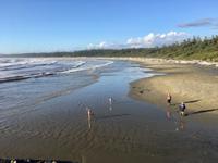 die wilde Westkueste