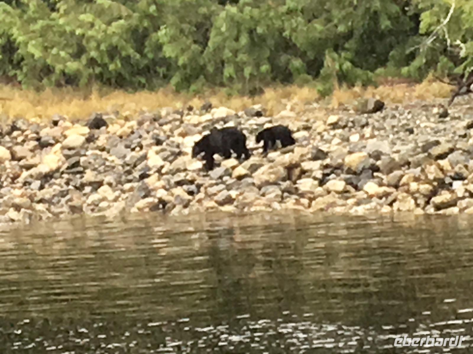 ich zeig dir wo die Krebschen wohnen