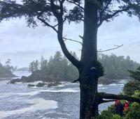 was fuer eine Energie