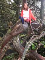 Elisabeth bei der Arbeit