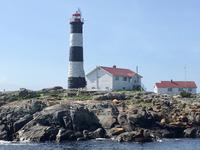 Race Rocks mit seinen Seeloewen