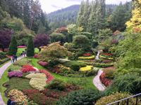 der versunkene Garten