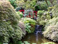 im japanischen Garten