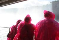 Einheitlich verpackt