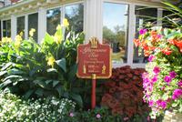 Niagara on the Lake (5)