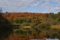 Kanufahrt Oxtongue Lake (7)