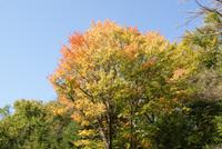 Kanufahrt Oxtongue Lake (14)