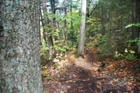 Wanderung Whisky Trail (3)