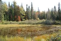 Wanderung Whisky Trail (5)