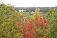 Algonquin Park