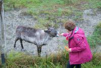 Dorle bei der Fütterung