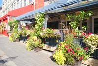 Altstadt von Montreal