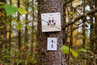 Wanderung Lac Taureau