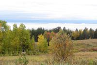 Blick auf den St. Lorenz Strom