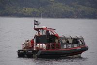 Whale Watching Tadoussac (8)
