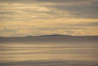 Whale Watching Tadoussac (25)
