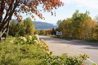 Blick auf die Bucht von St. Paul