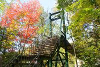 Canyon Saint Anne (7)