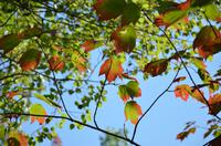 Naturaufnahmen im St. Anne Canyon