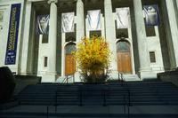 015 Montreal Kunstmuseum