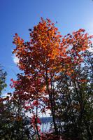 090 Montmorency Wasserfälle