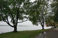 132 Chateau Montebello