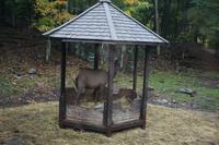 142 Park Omega Wapiti