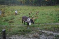 146 Park Omega Cariboo