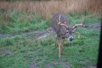 150 Park Omega Hirsch