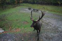 153 Park Omega Hirsch