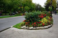 242 Niagara-on-the-lake