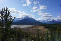 317 Howse Pass Viewpoint