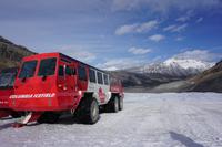 323 Athabasca Gletscher