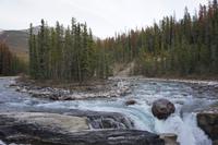 329 Sunwapta Falls