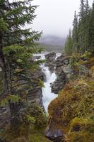 348 Athabasca Wasserfall