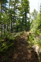 364 Wells Gray Provincial Park