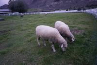 369 South Thompson Inn