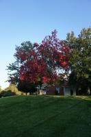 372 South Thompson Inn