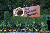 423 Butchart Gardens