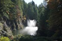 425 Butchart Gardens Versunkener Garten