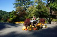 426 Butchart Gardens