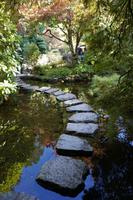 432 Butchart Gardens Japanischer Garten