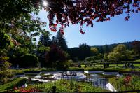 433 Butchart Gardens Sternenbrunnen